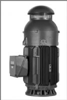 MOTORES VERTICAL FLECHA HUECA